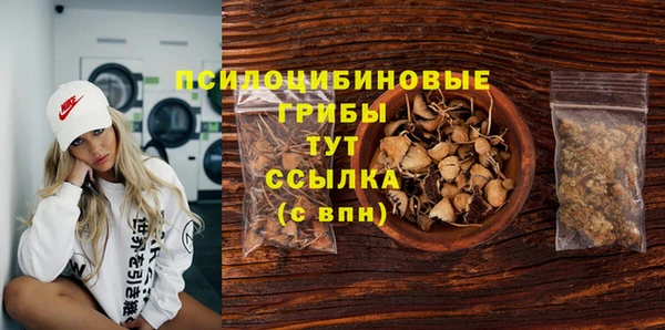 гидра Новокубанск