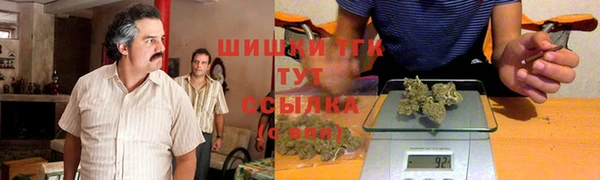 гидра Новокубанск