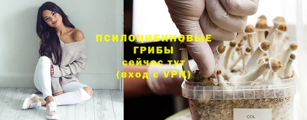 MDMA Новозыбков