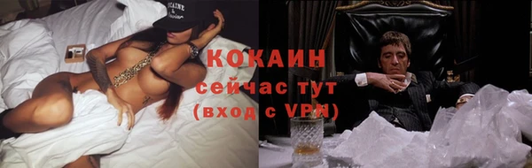 гидра Новокубанск