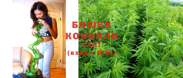 MDMA Новозыбков