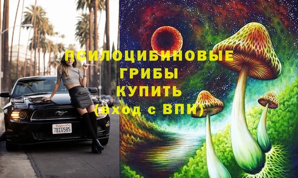 дживик Новодвинск