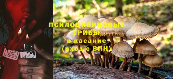 MDMA Новозыбков
