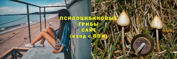 дживик Новодвинск