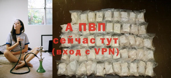 гидра Новокубанск