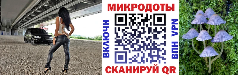Галлюциногенные грибы мицелий  Задонск 